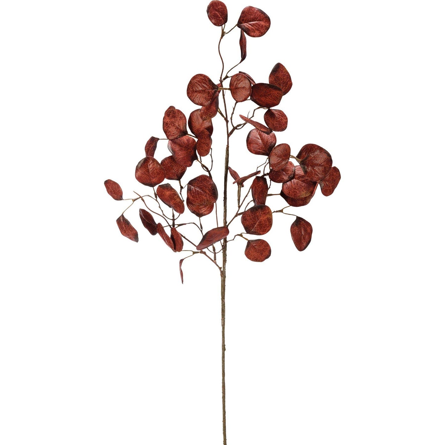 Burgundy Eucalyptus Floral Pick