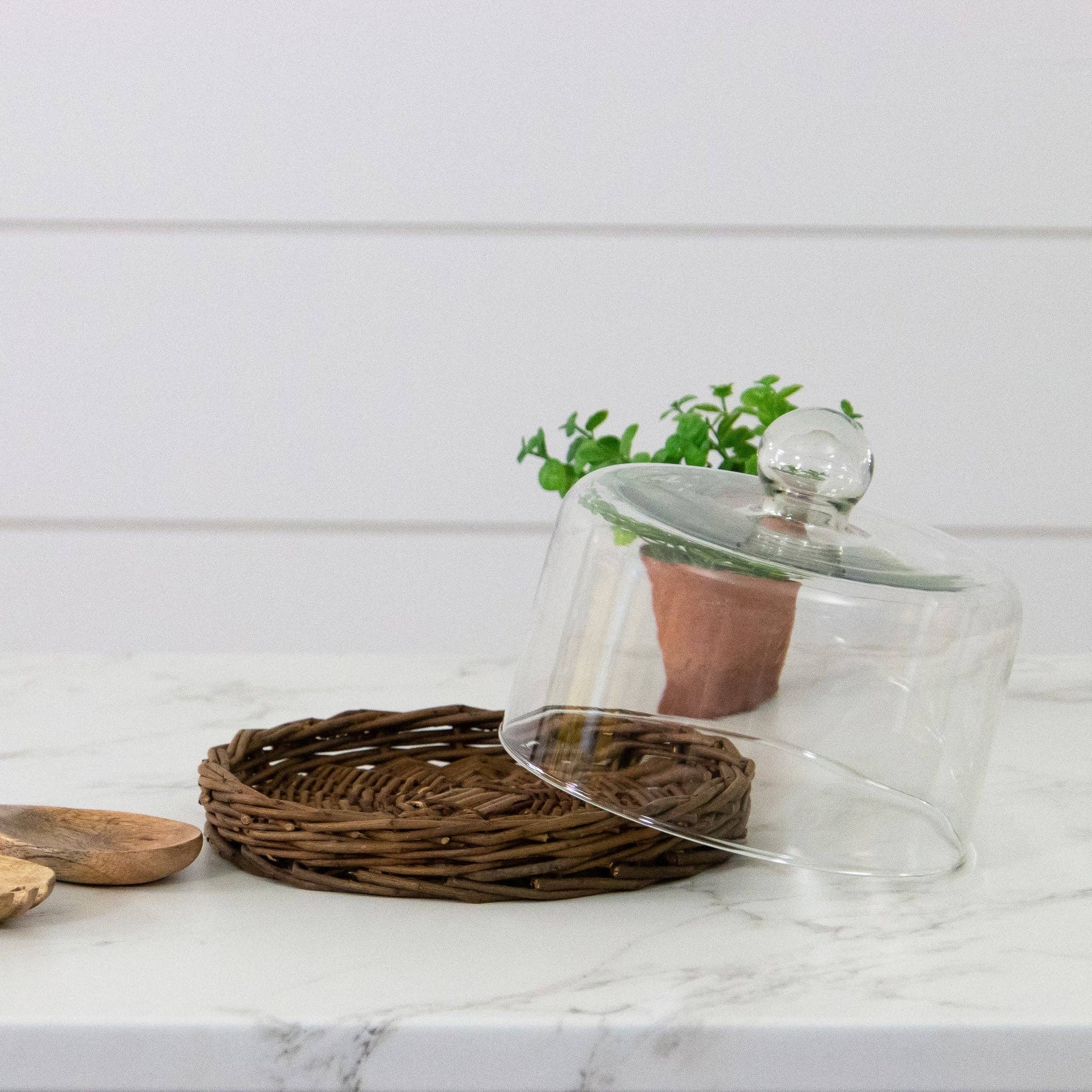 Glass Dome With Wicker Tray (PC)
