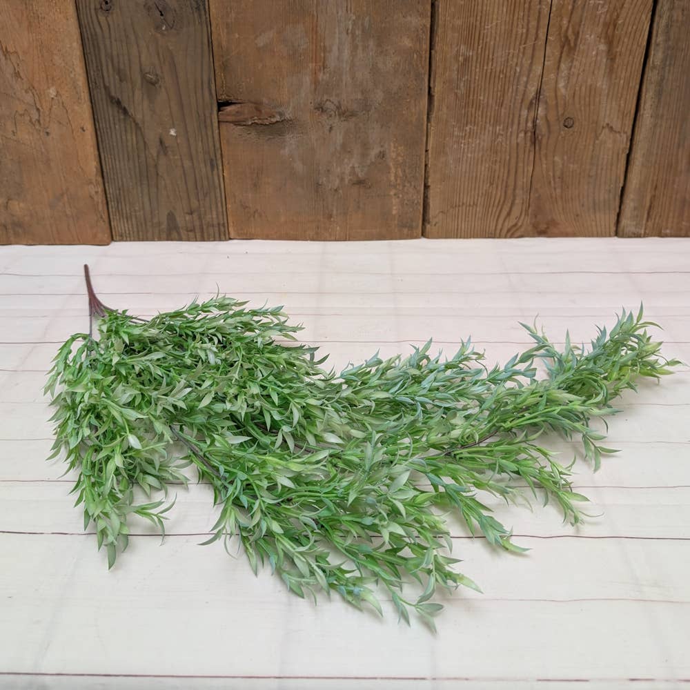 Green Dripping Leaves of Grass