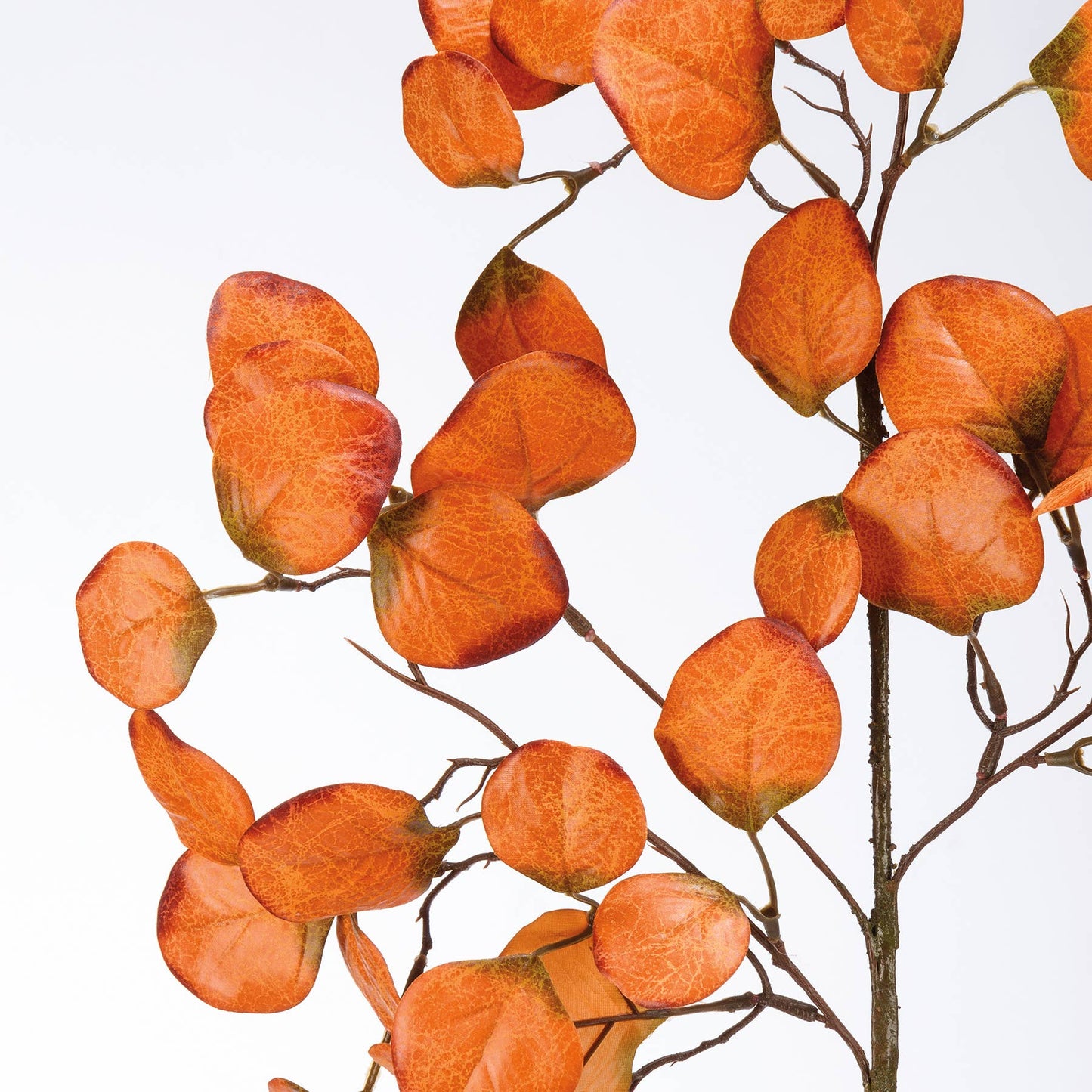 Orange Eucalyptus Floral Pick