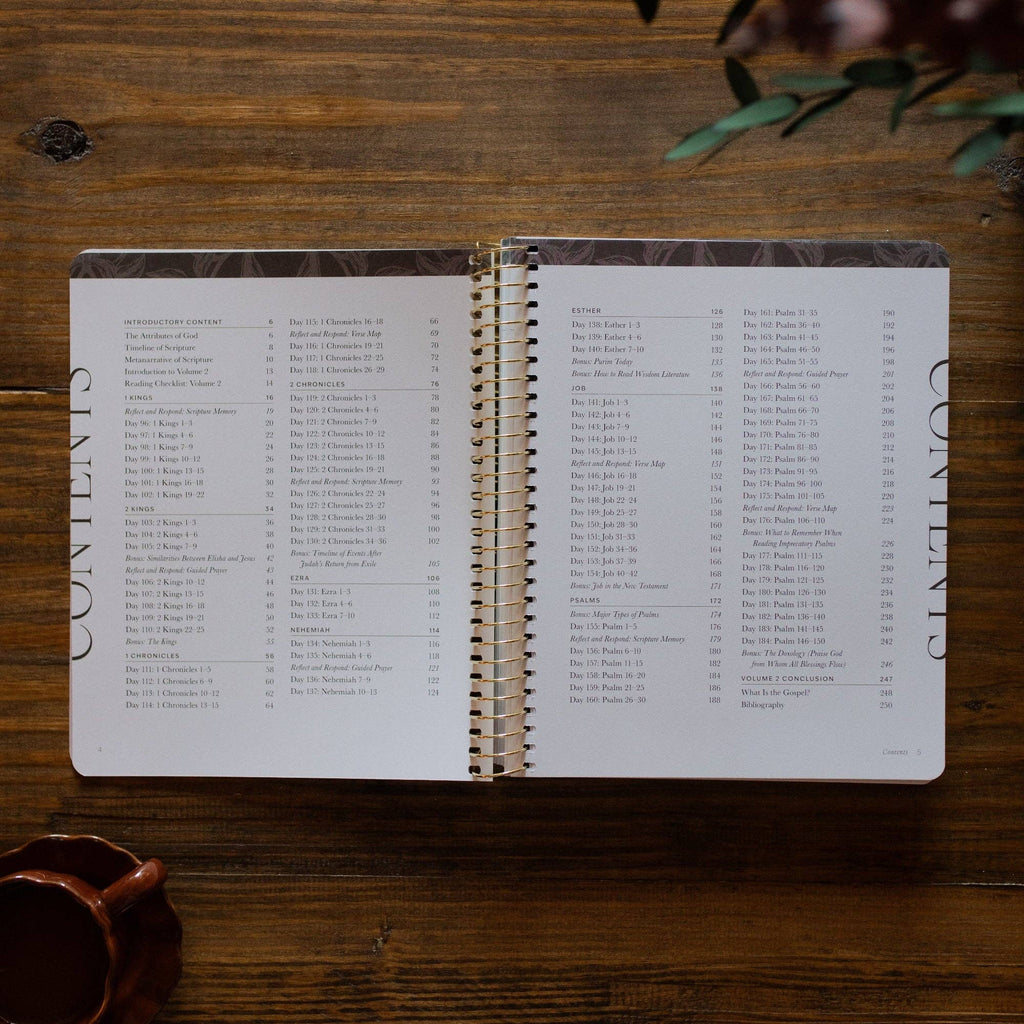 A Year in the Bible | Volume 2