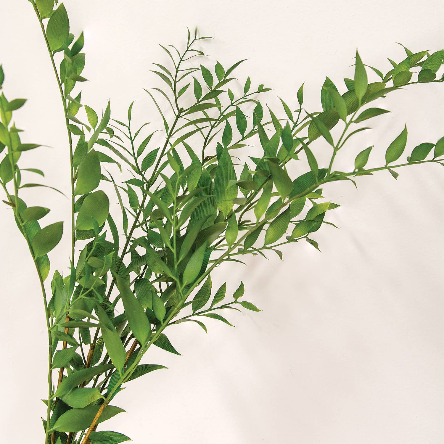 Vibrant Smilax Branch - 30"