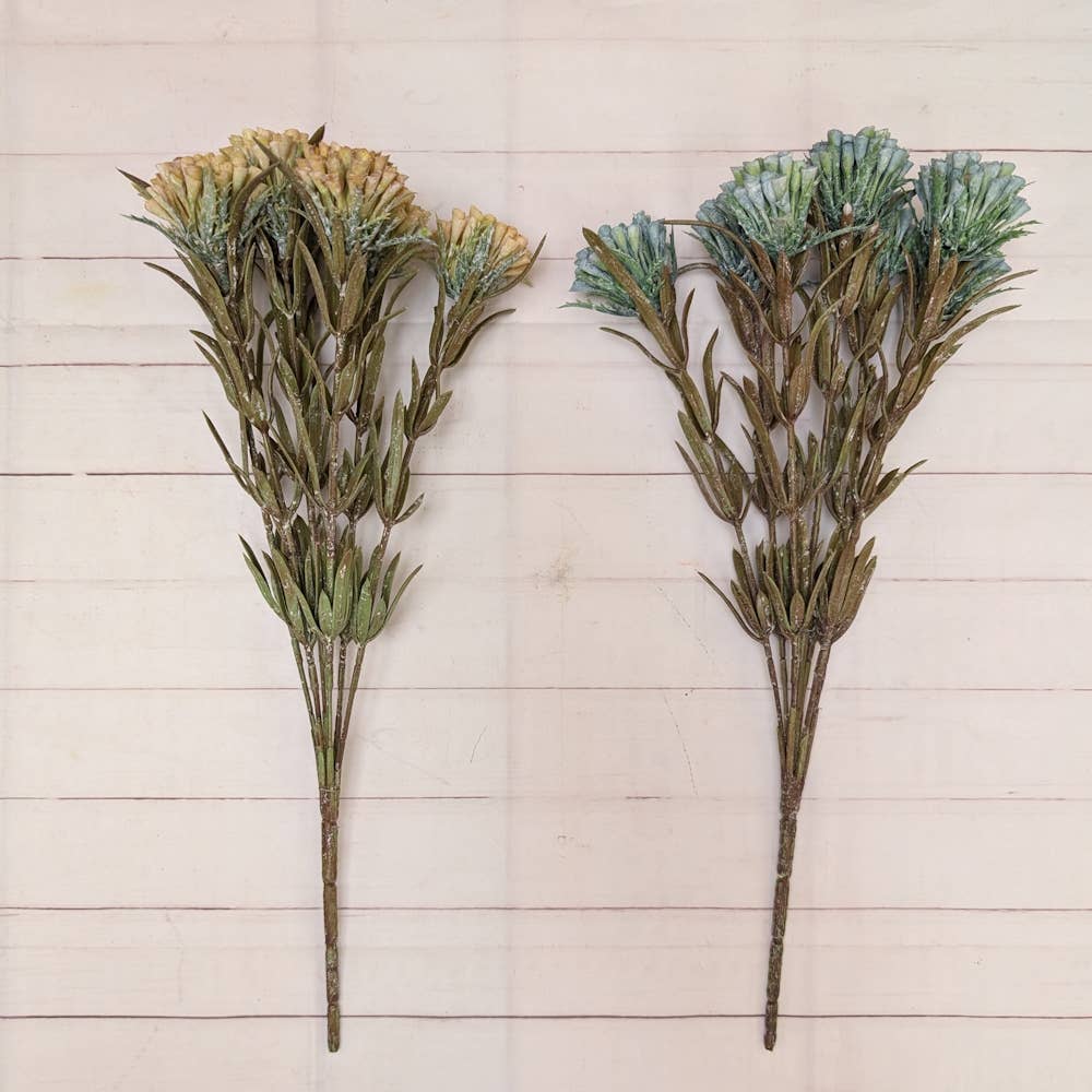 Yarrow Picks