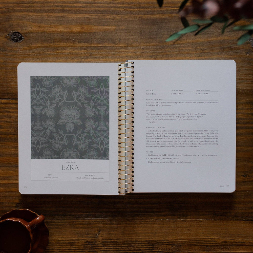 A Year in the Bible | Volume 2