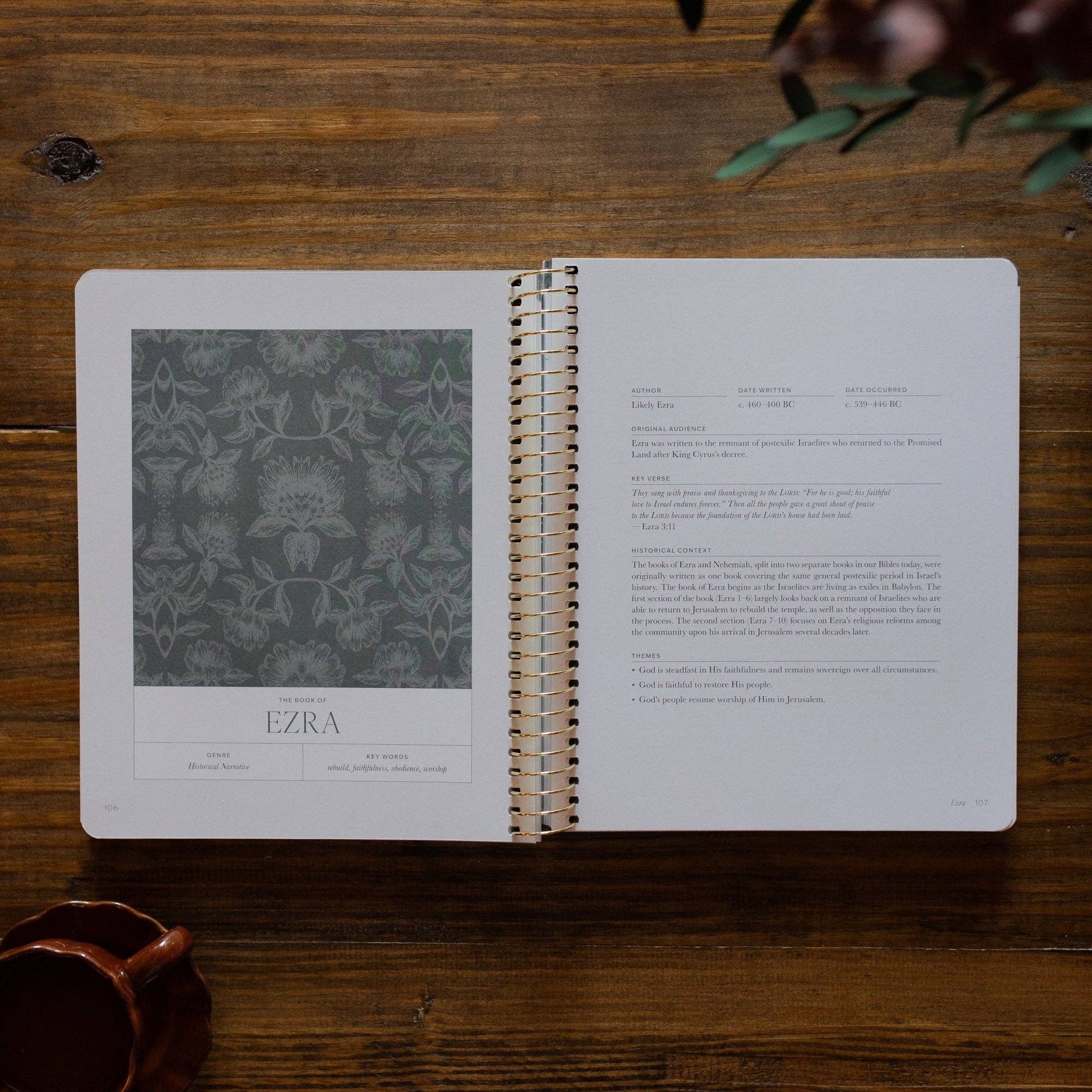 A Year in the Bible | Volume 2