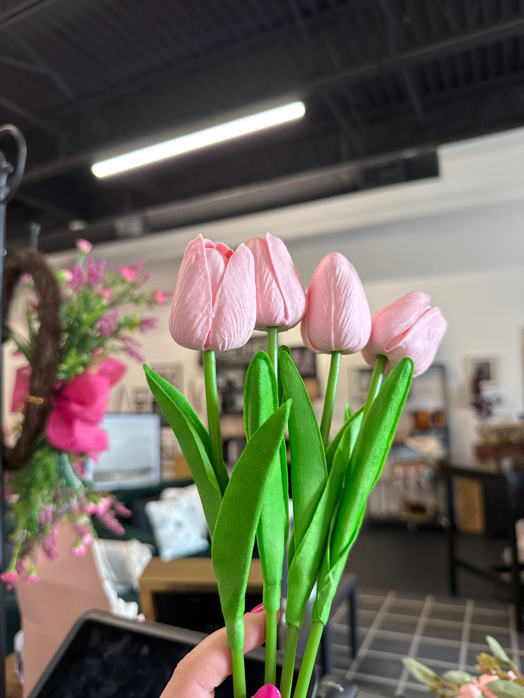 Tulip