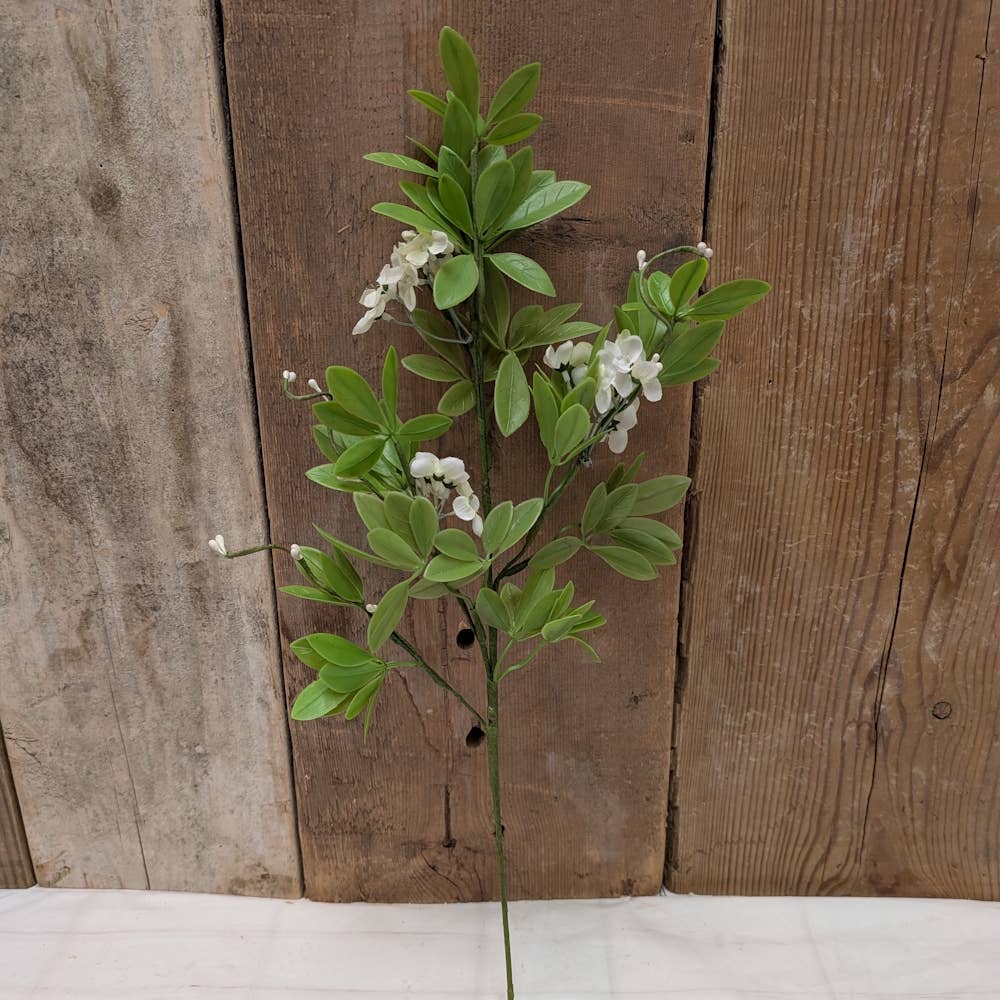 Mountain Laurel Spray
