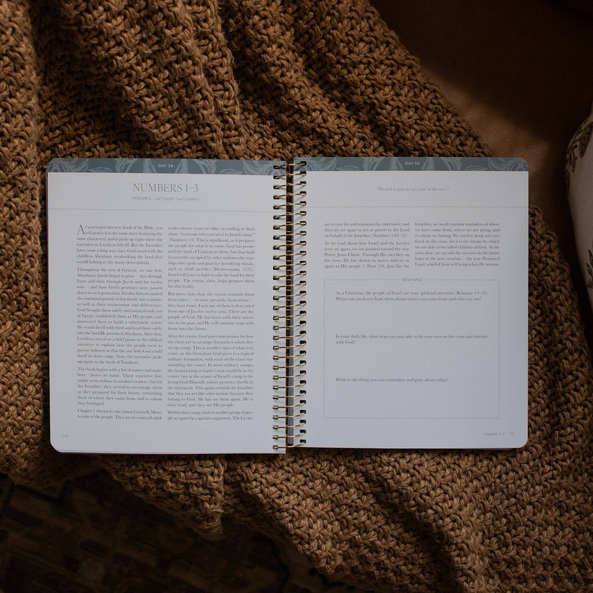 A Year in the Bible  | Volume 1