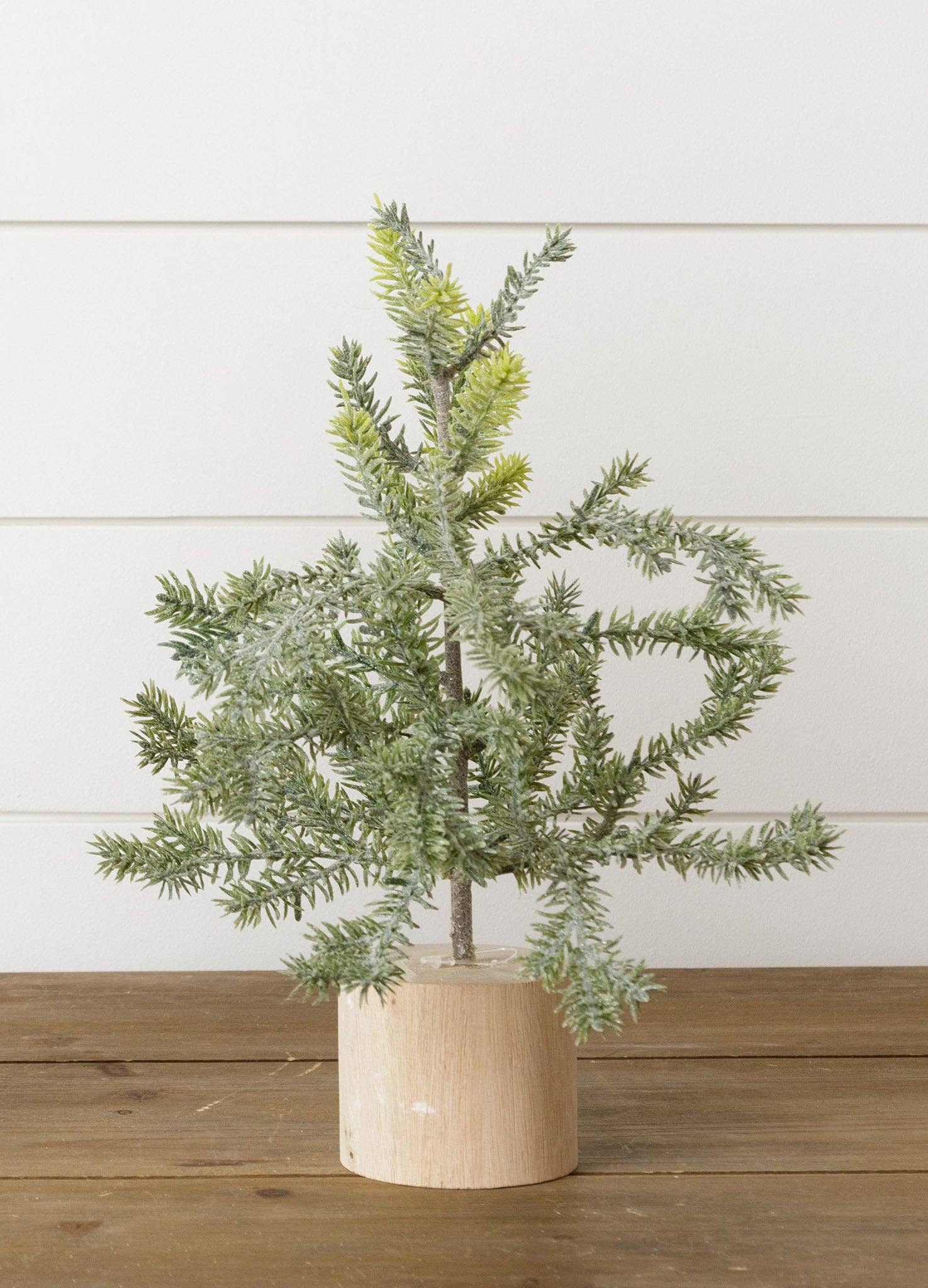 Frosted Pine In Wooden Base