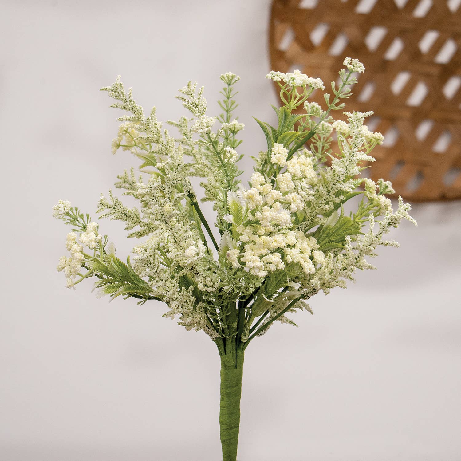 Delicate Cream Astilbe