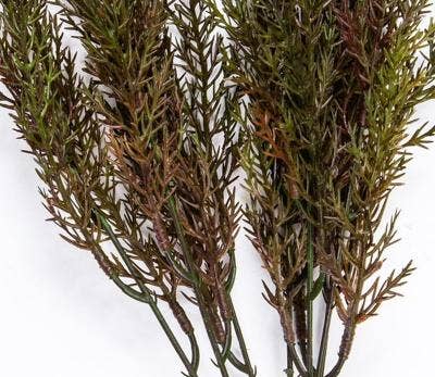 Wild Grass, 14in,