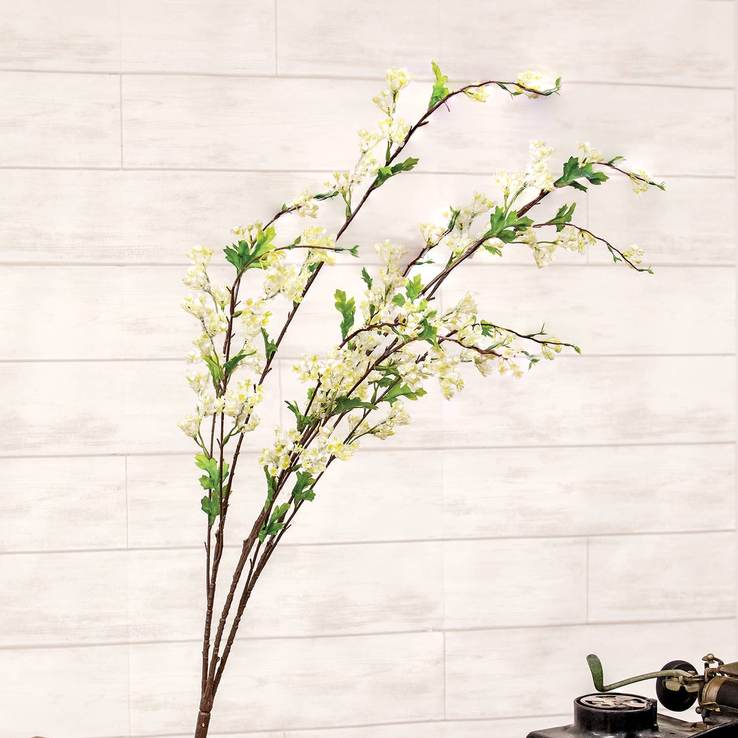 Cream Lilac Branch
