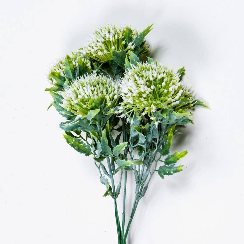 Wild Onion Bunch