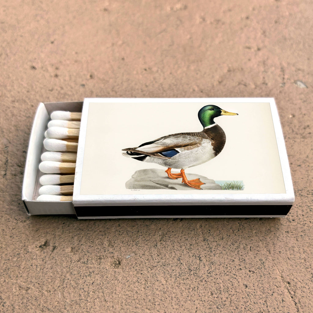Matches • Mallard Duck • Home Decor for Candles and Incense