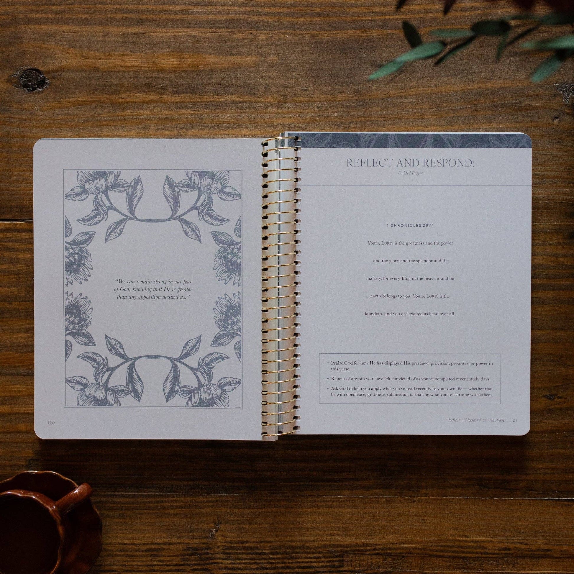 A Year in the Bible | Volume 2