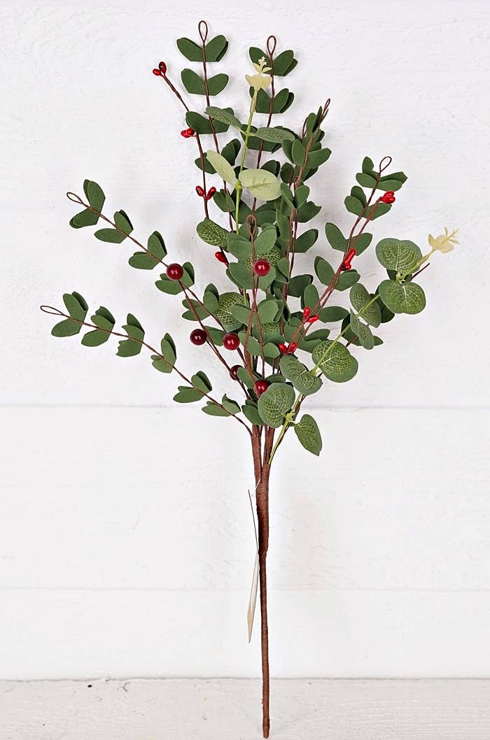 Euclyaptus with Red Berries