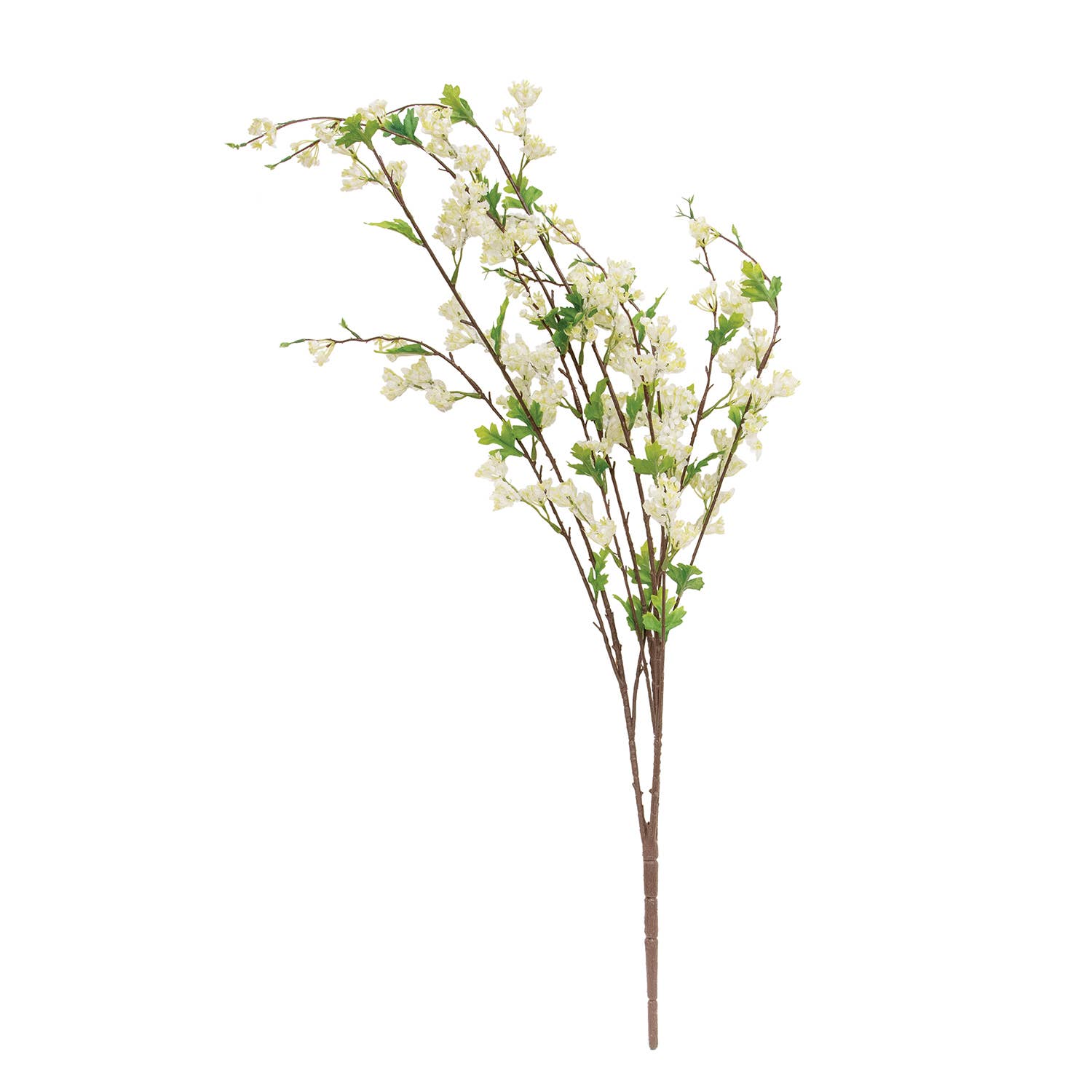 Cream Lilac Branch