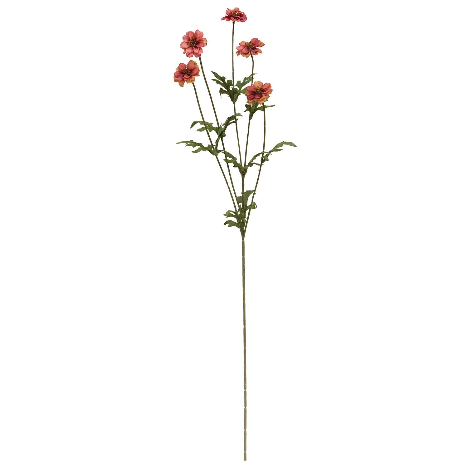 Mauve Marigold Spray