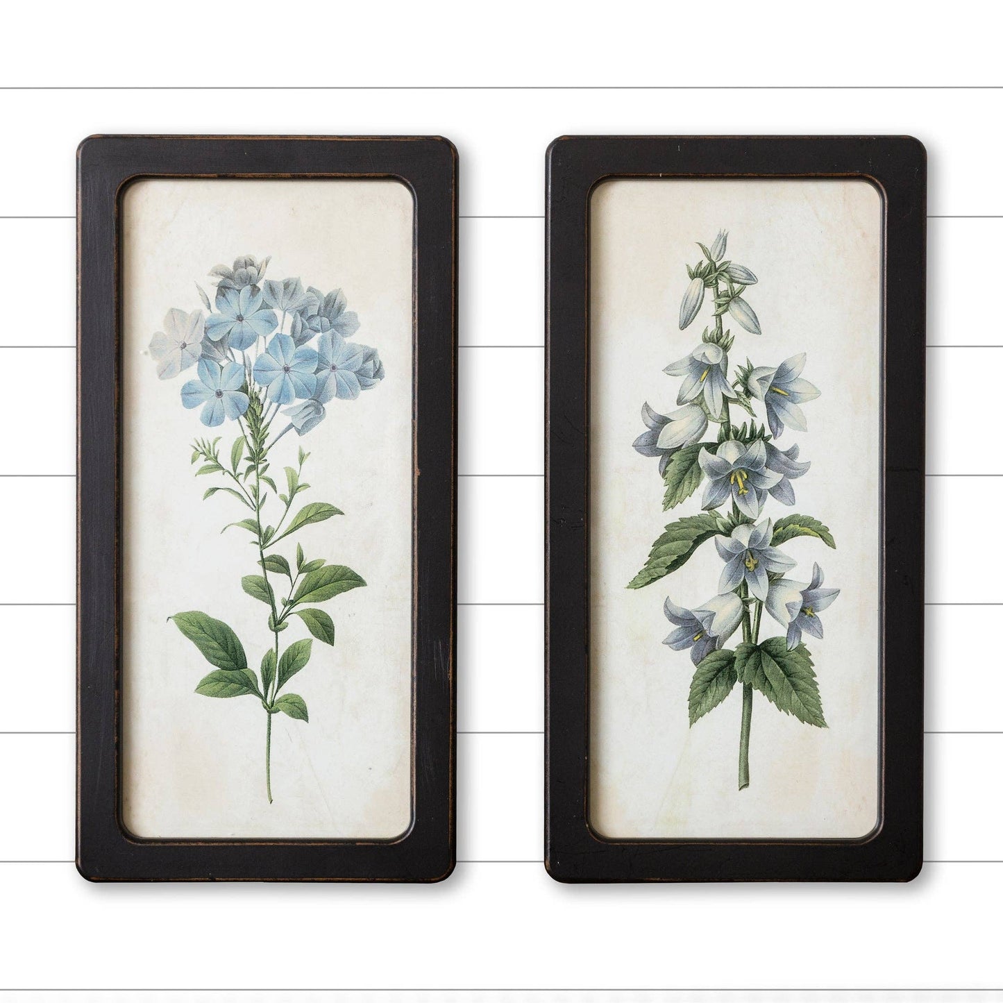 Bluebells And Forget Me Nots Print