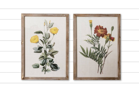 Marigold And Ranunculus Print