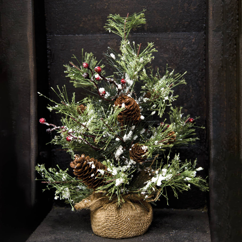 Snowy Brush Pine Tree