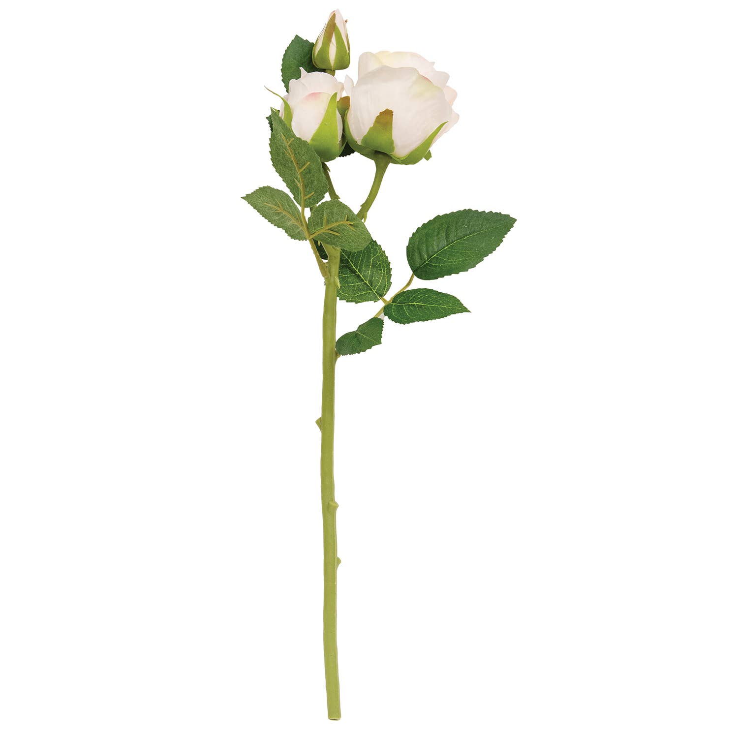 Blooming Blush Roses Pick