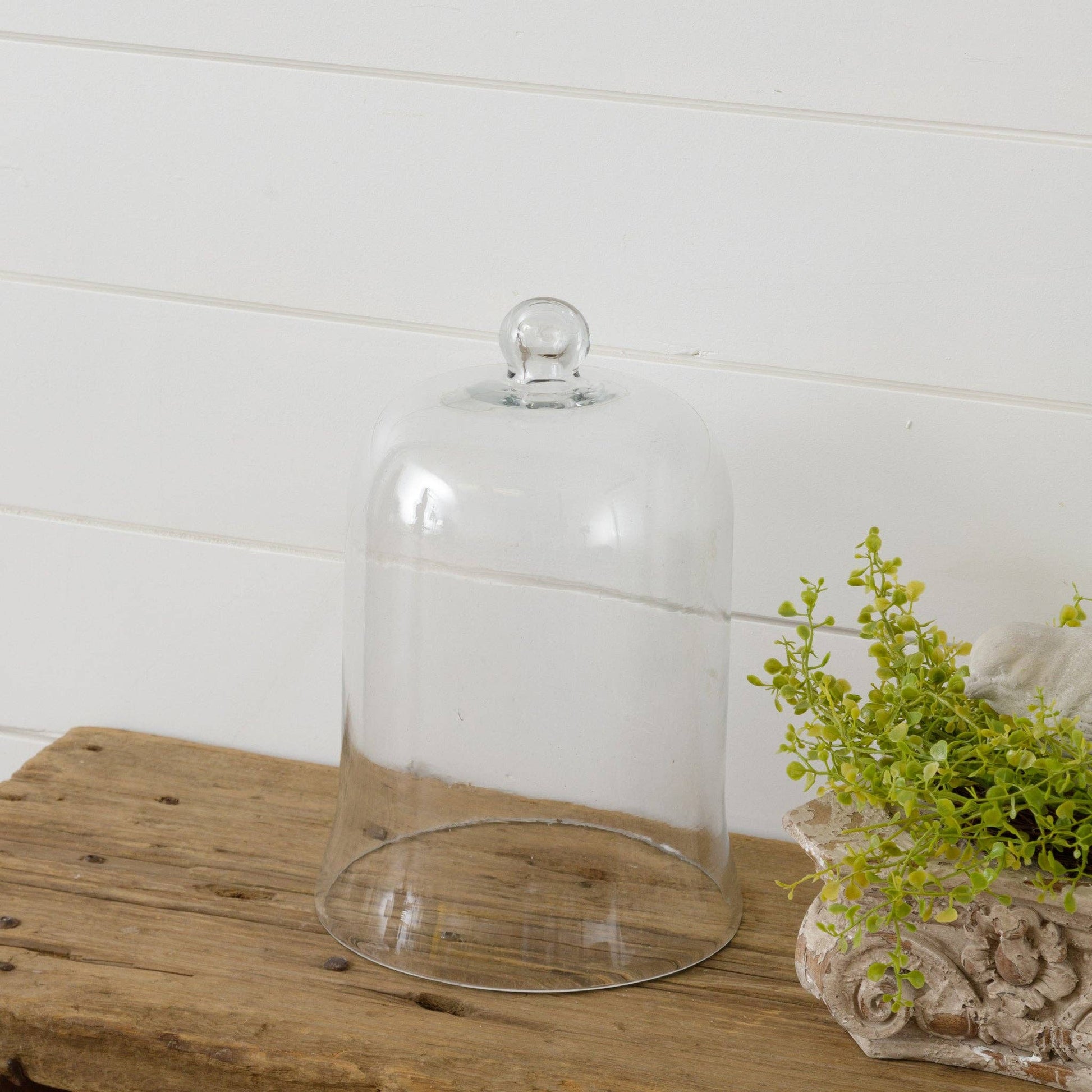 Glass Cloche