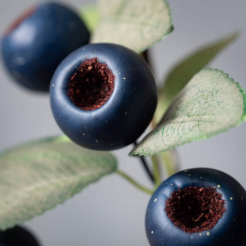 BLUE POD & GREEN LEAF SPRAY