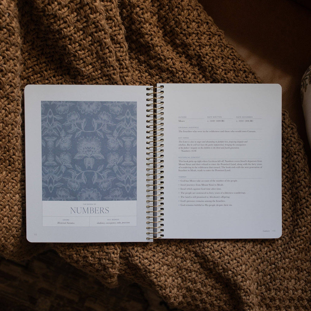 A Year in the Bible  | Volume 1