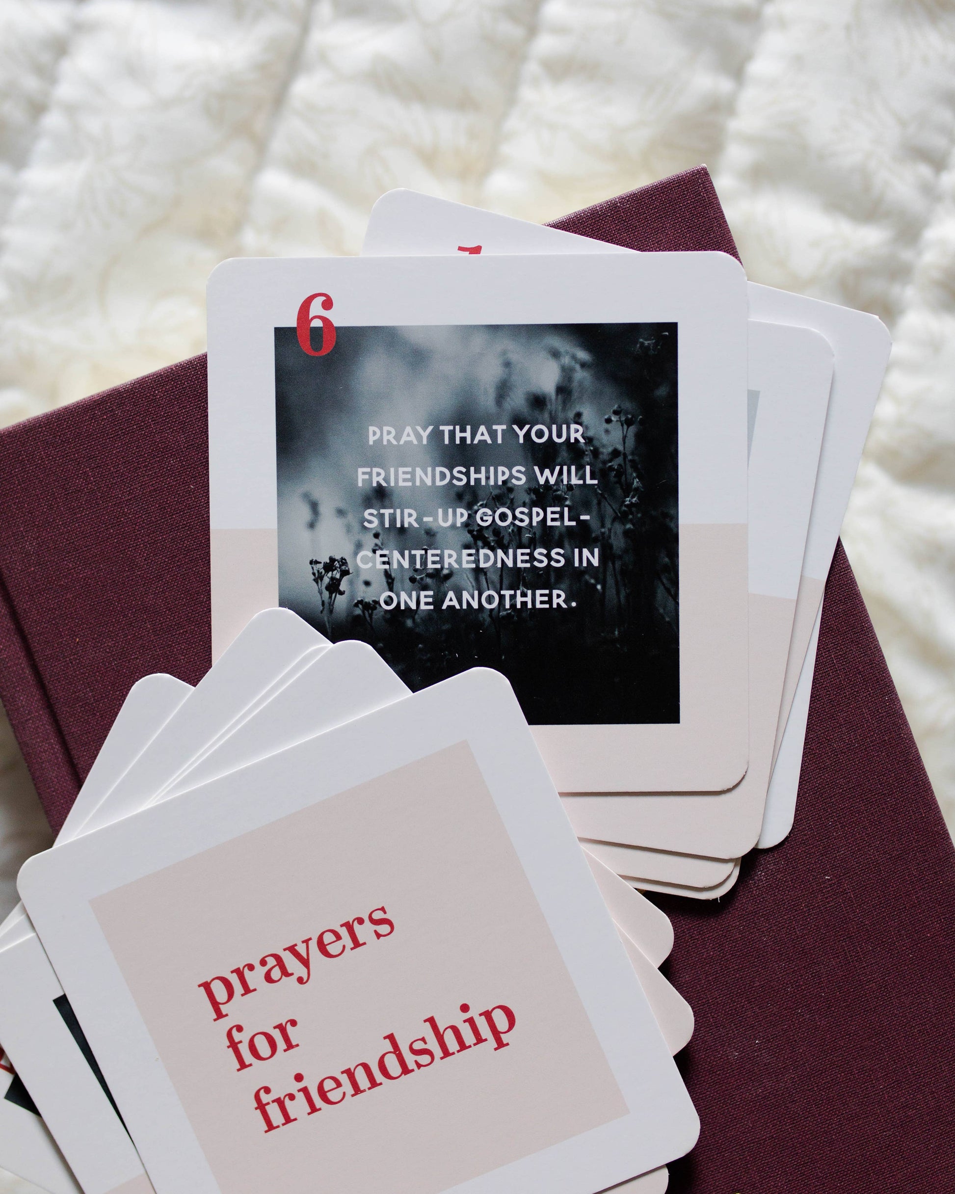 Prayers For Friendship Verse Card Set