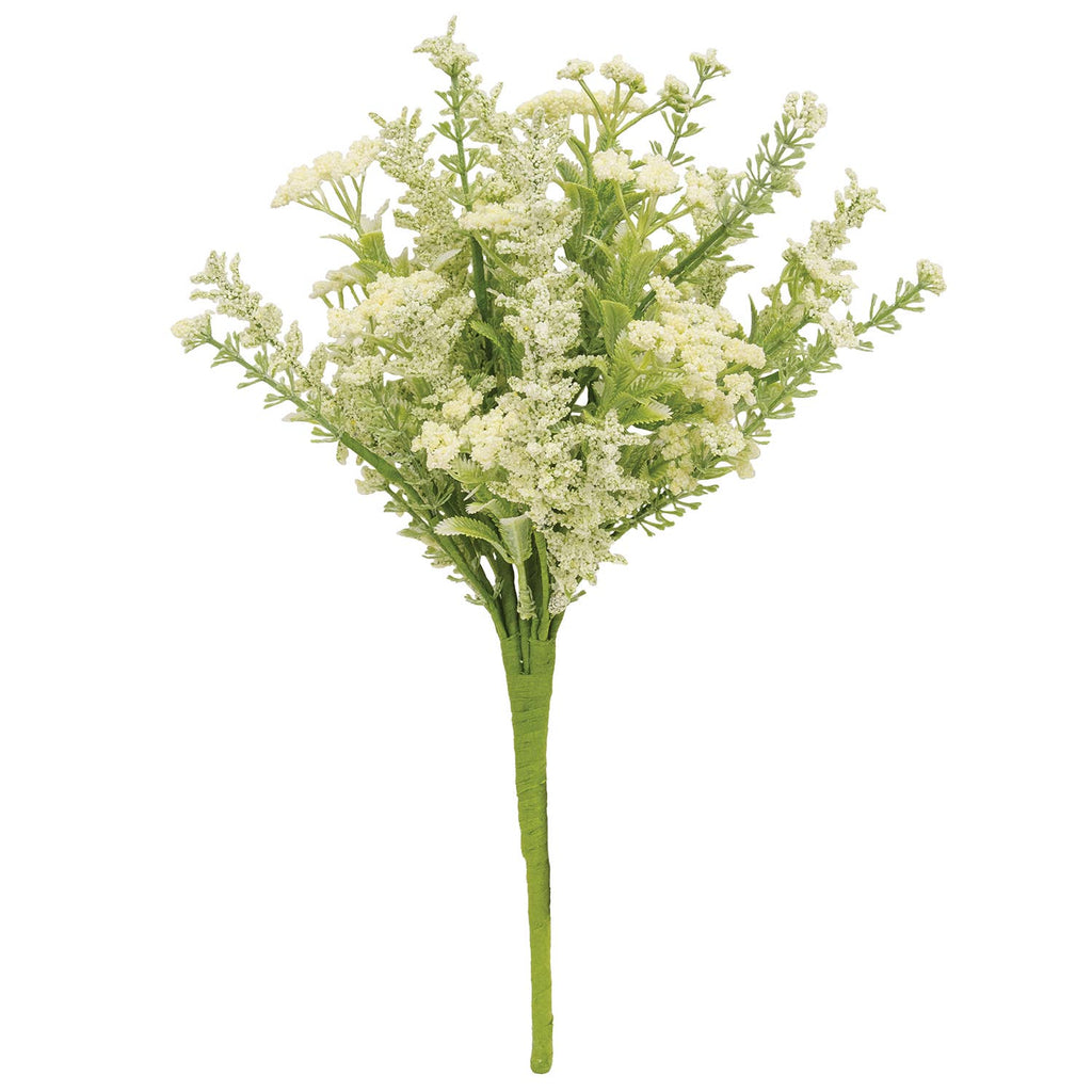 Delicate Cream Astilbe