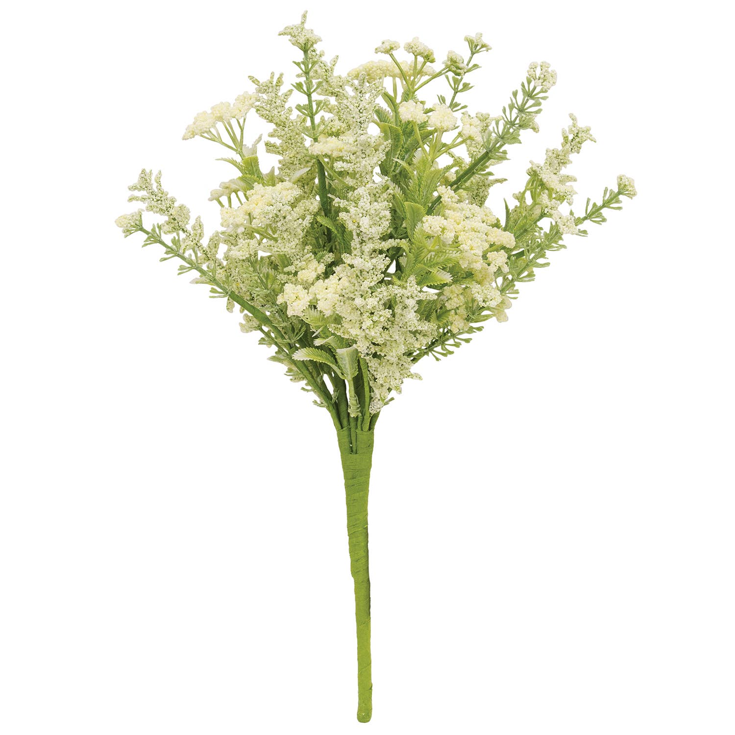 Delicate Cream Astilbe
