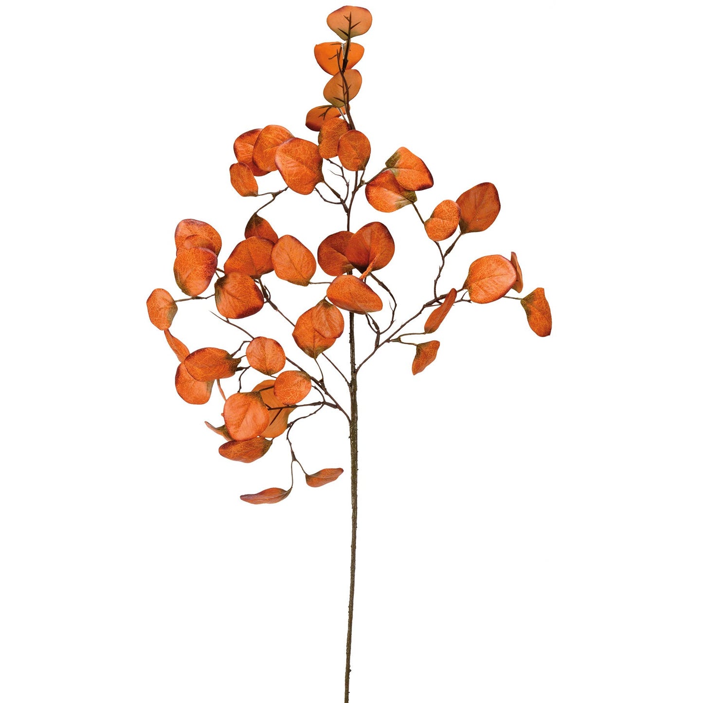 Orange Eucalyptus Floral Pick