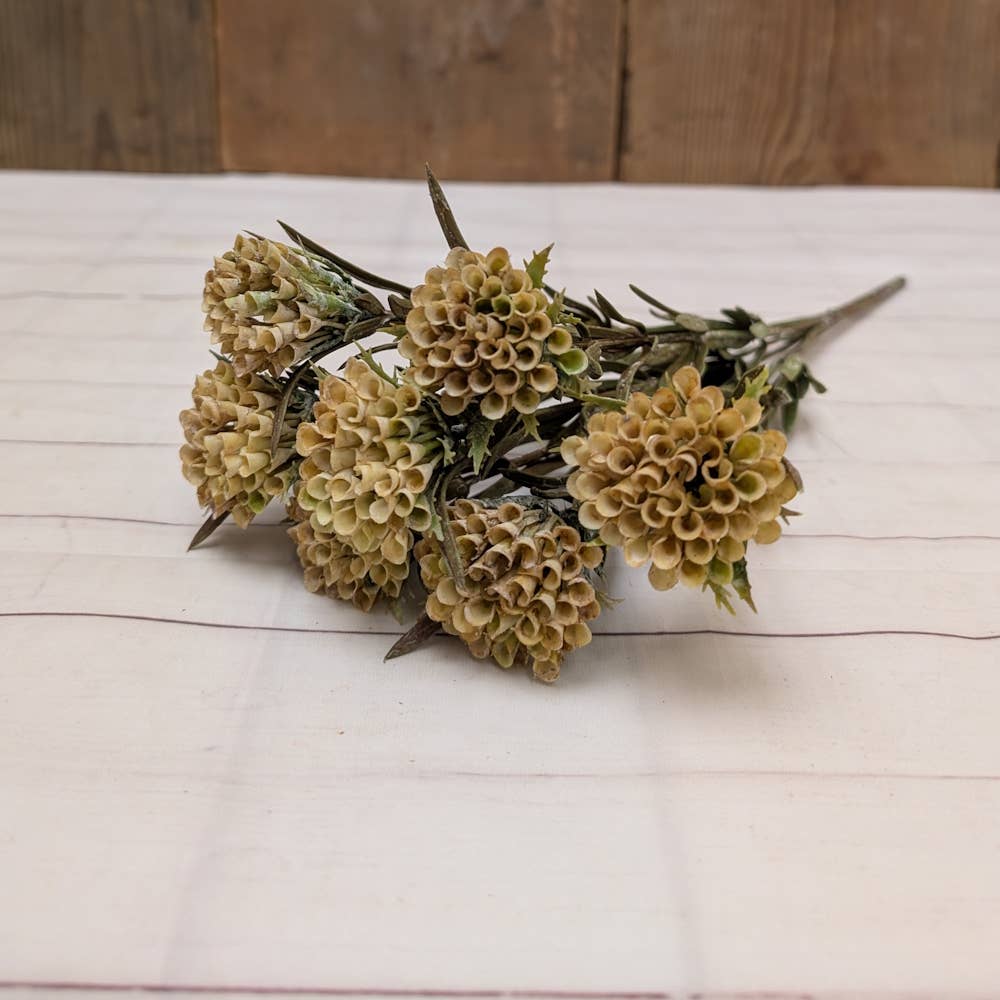 Yarrow Picks