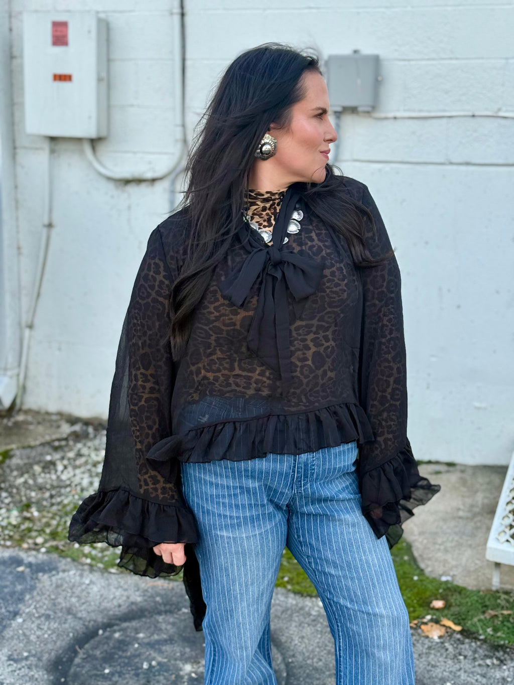 Billowy Full Sleeve Frill Top