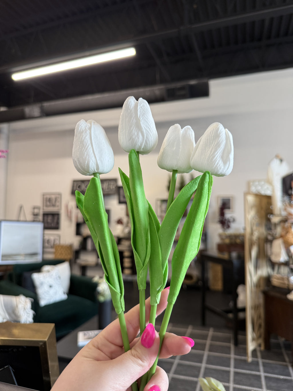 Tulip
