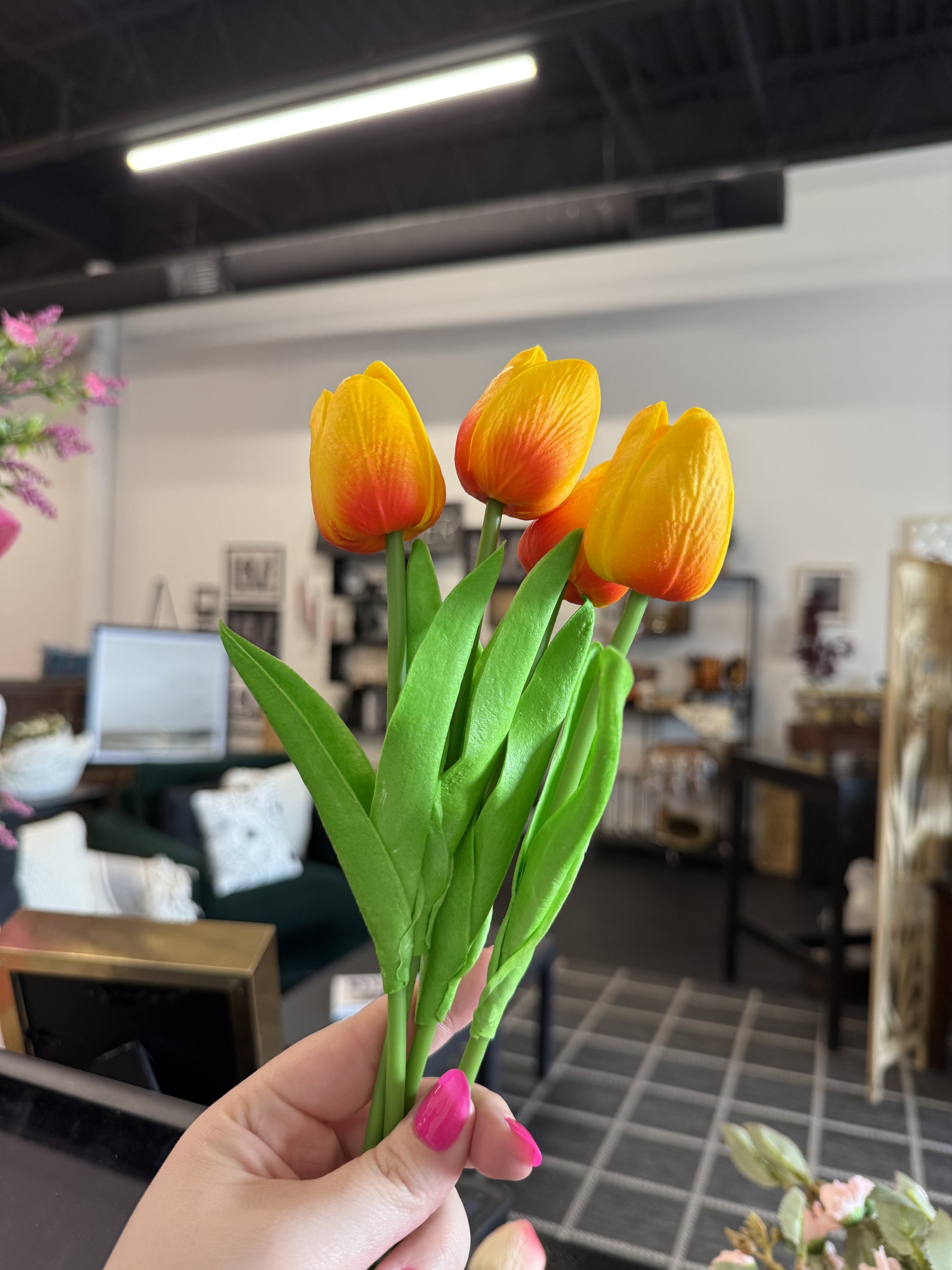 Tulip