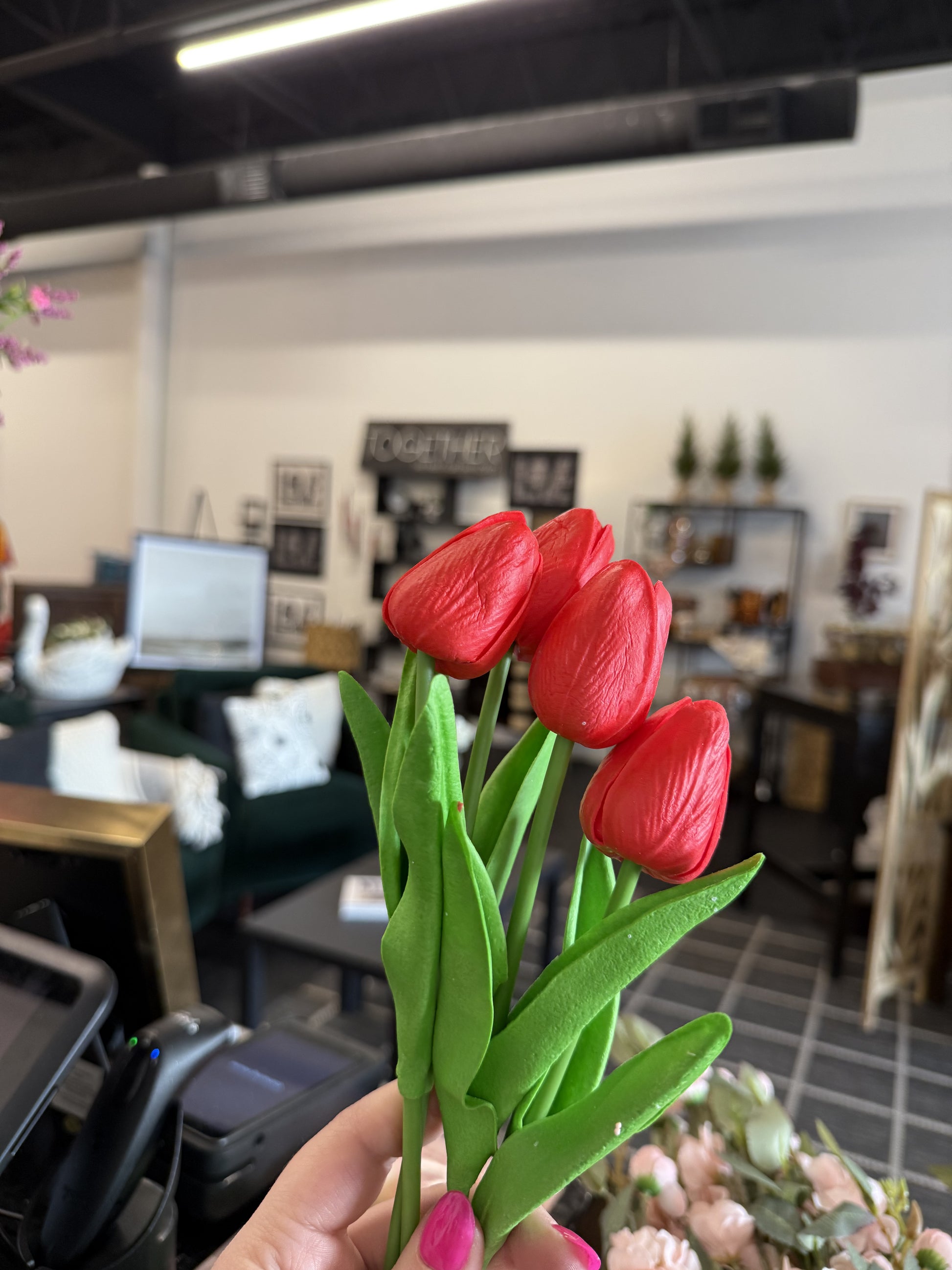 Tulip