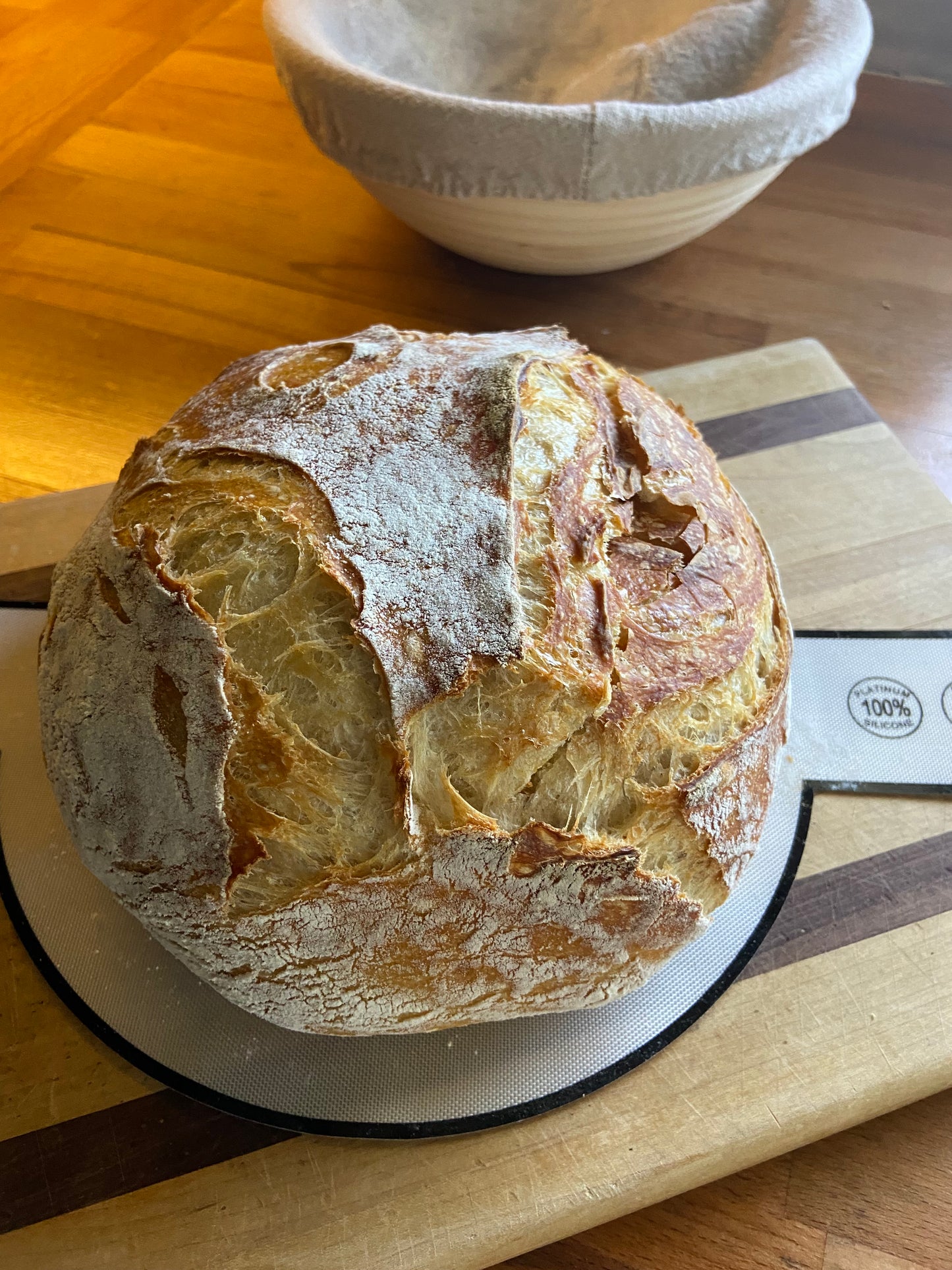 Sourdough Starters