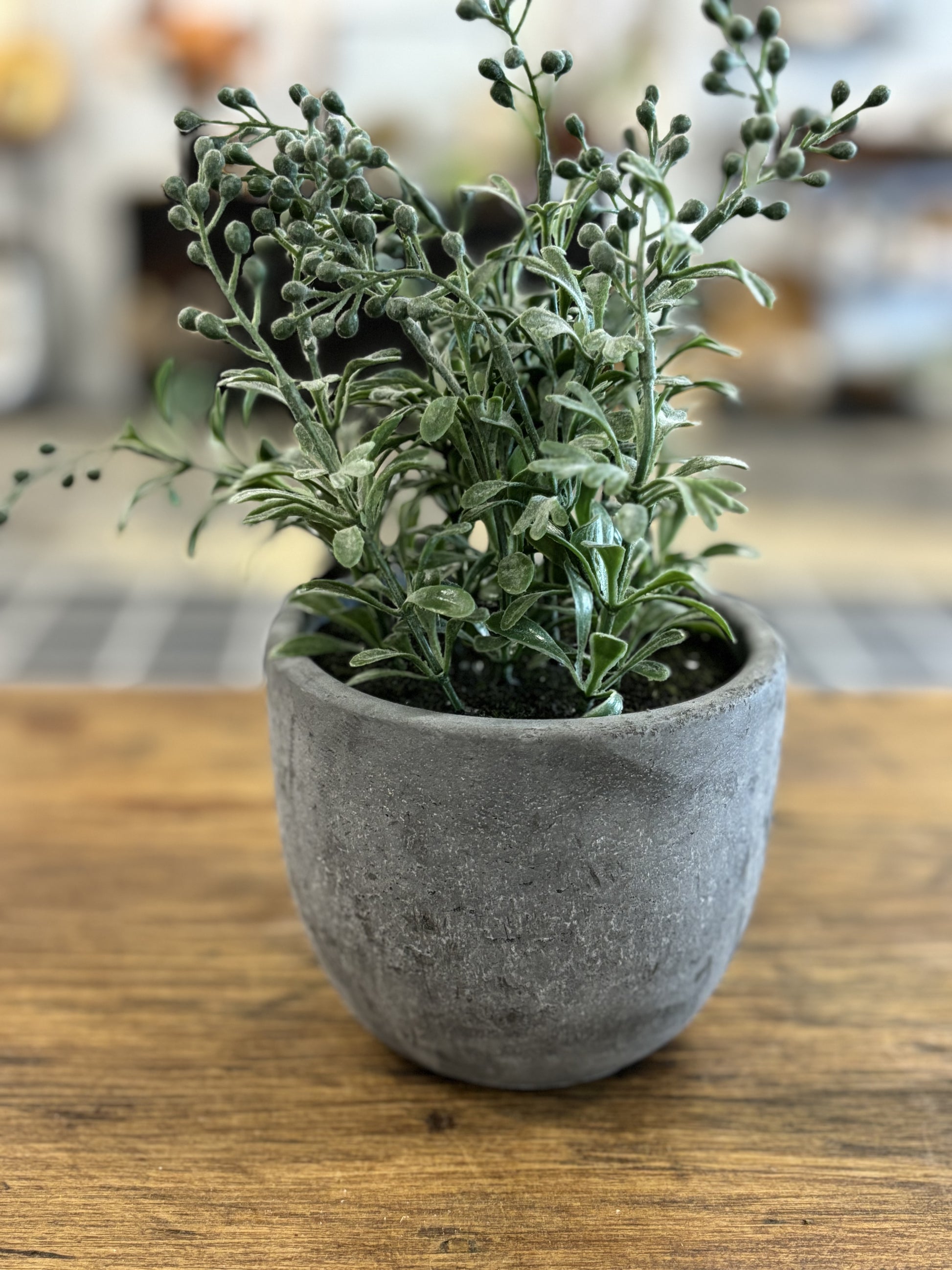 Gray Vase w/ green foliage