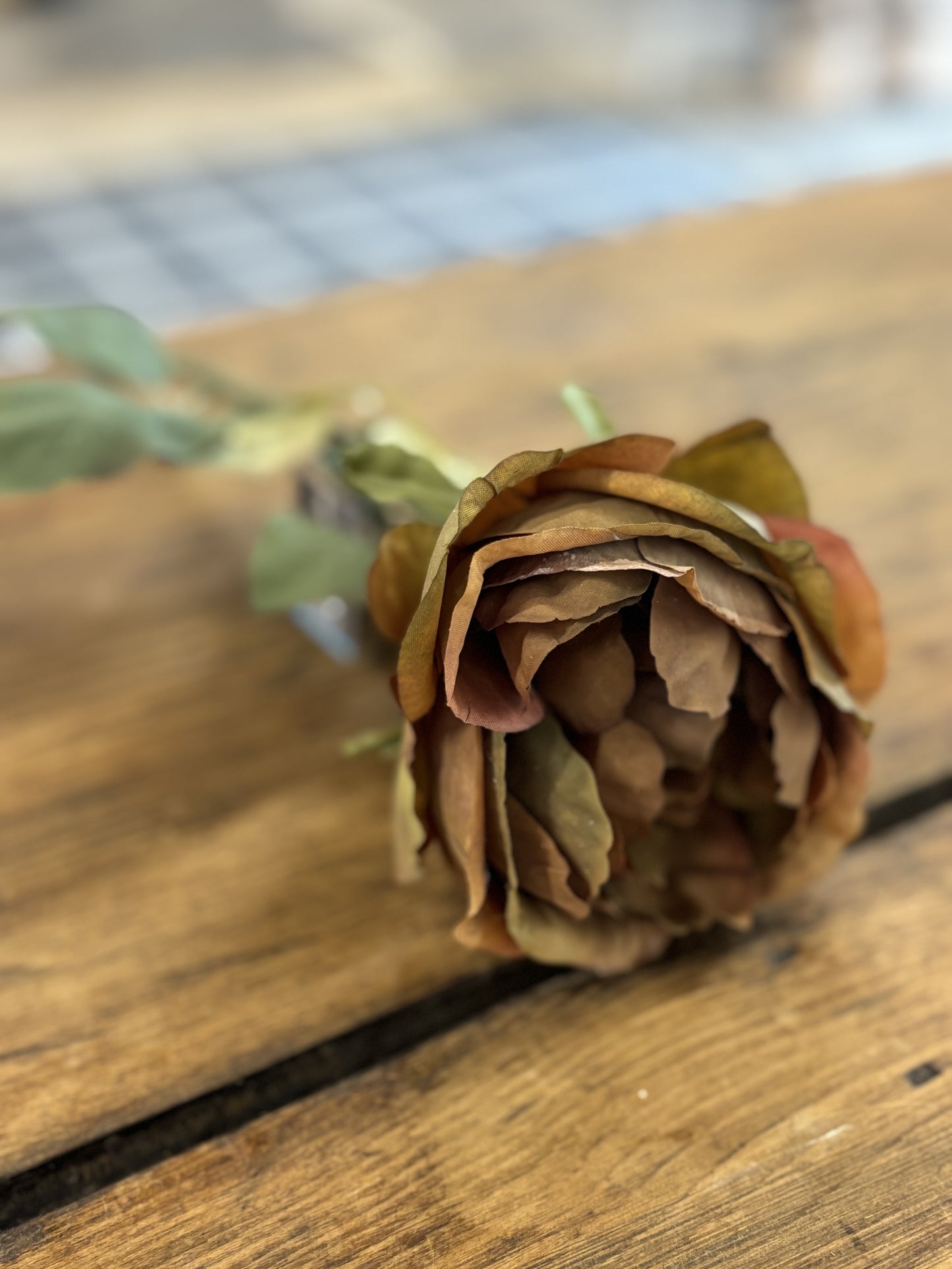 Brown Rose