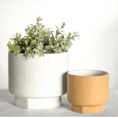 Mustard Planter