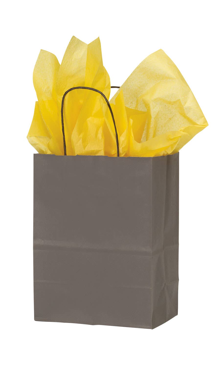 Colorful Kraft Paper Shopping Bags