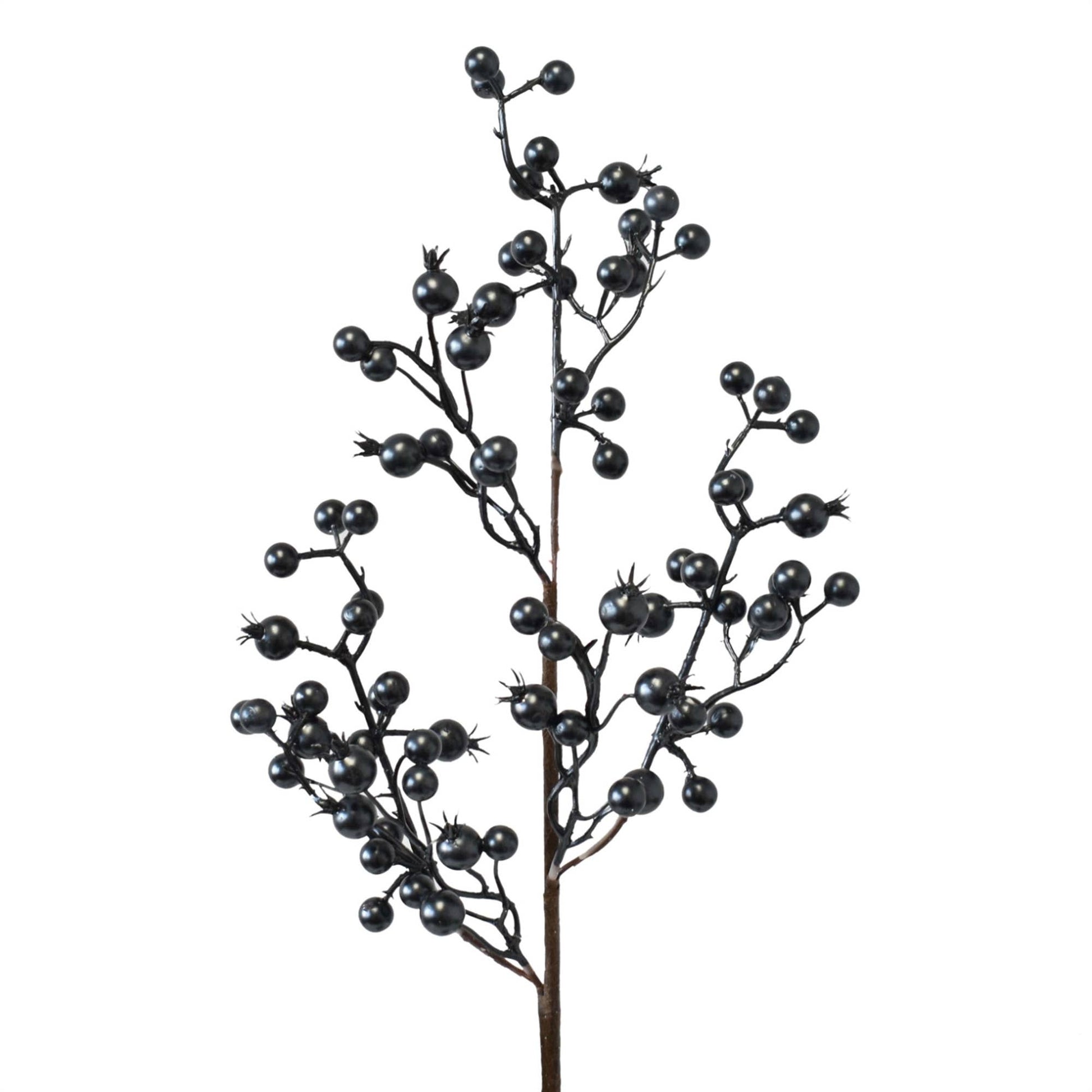 Pearl Finish Berry Spray - Black 22.25"