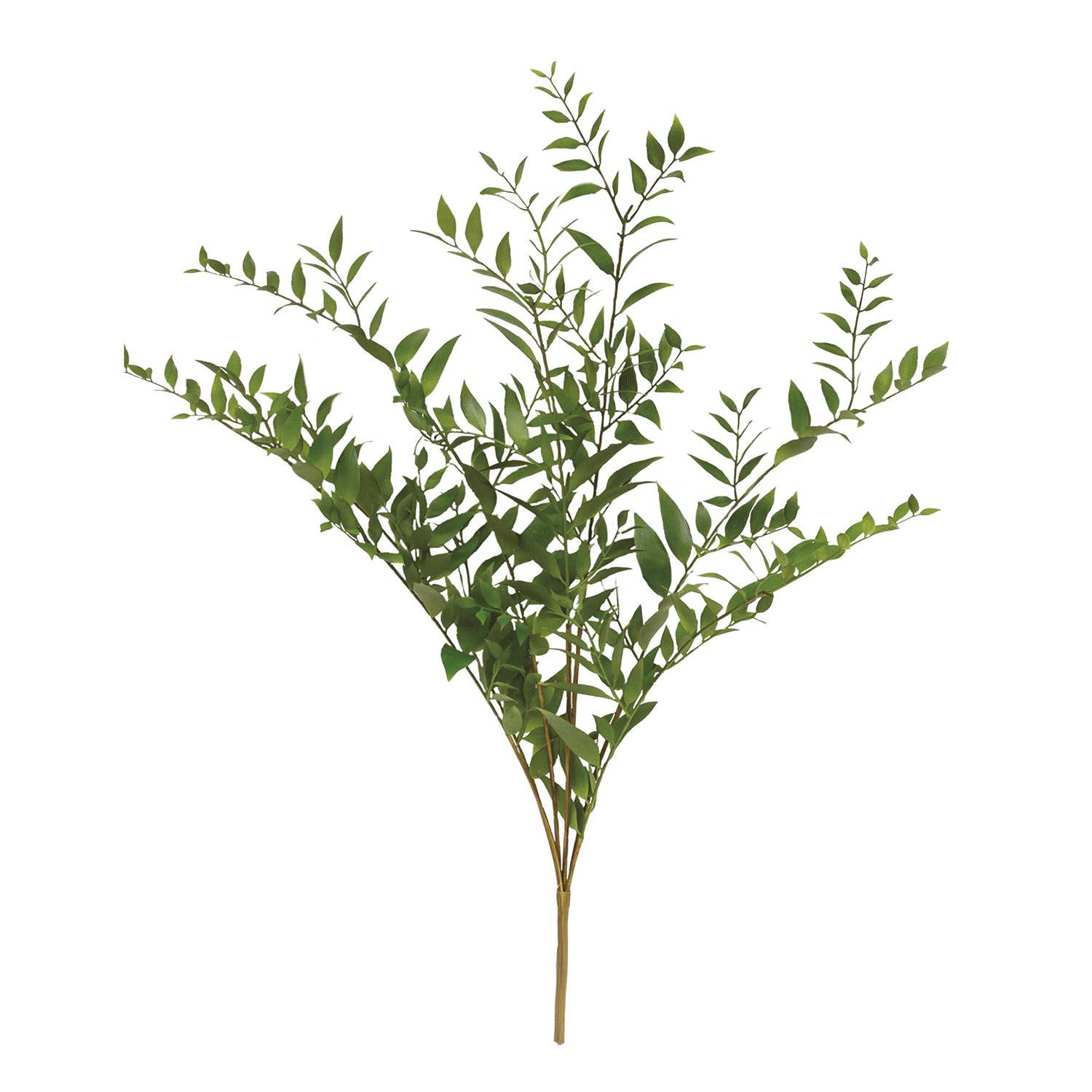 Vibrant Smilax Branch - 30"