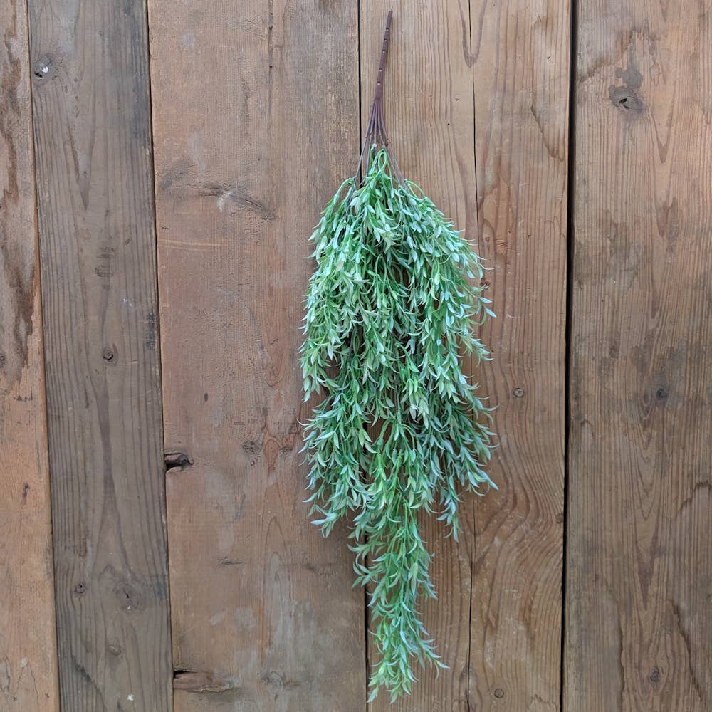 Green Dripping Leaves of Grass