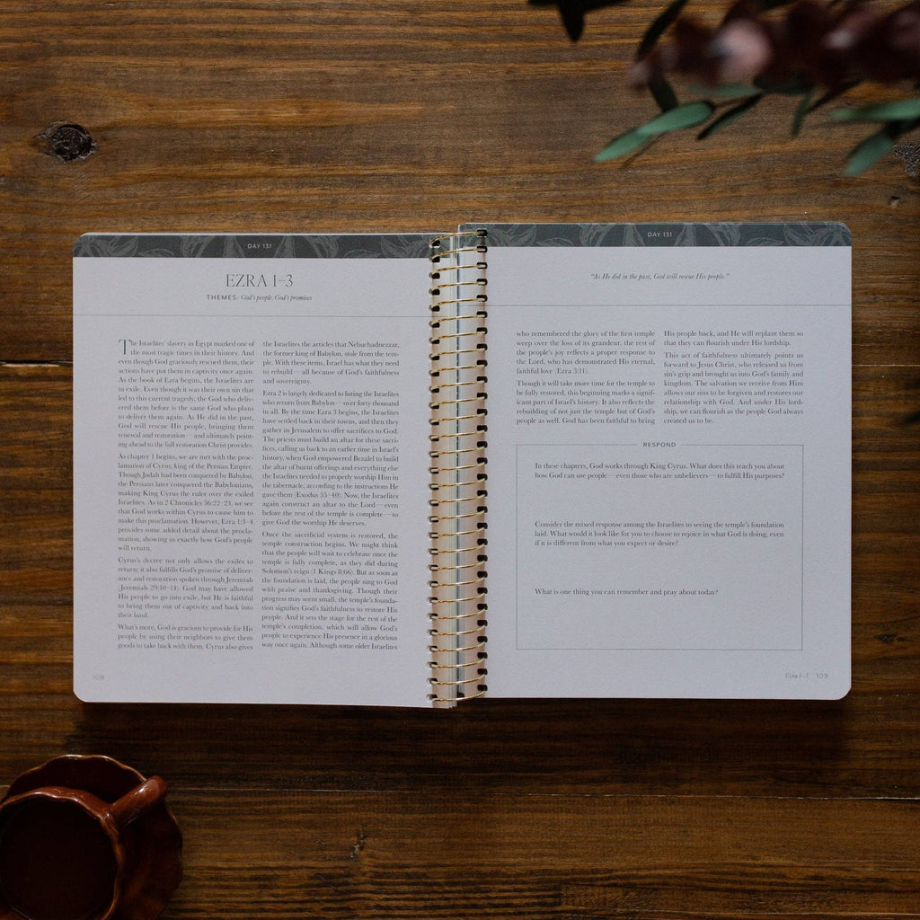 A Year in the Bible | Volume 2