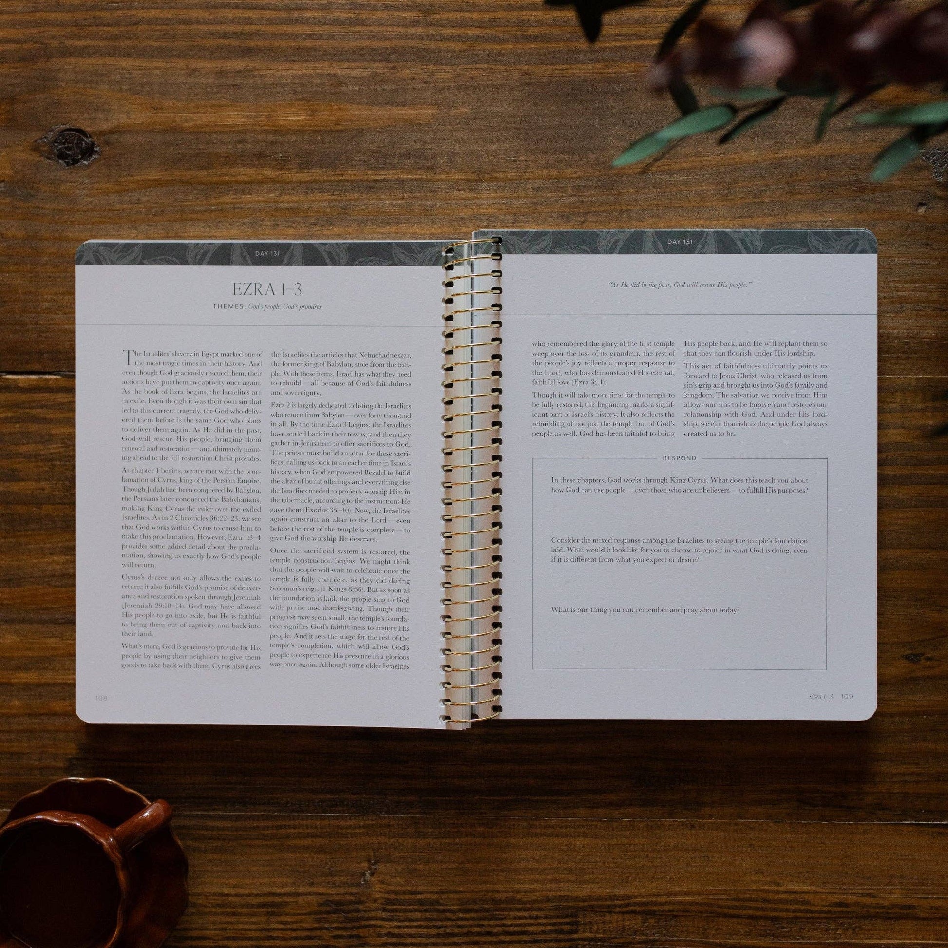 A Year in the Bible | Volume 2