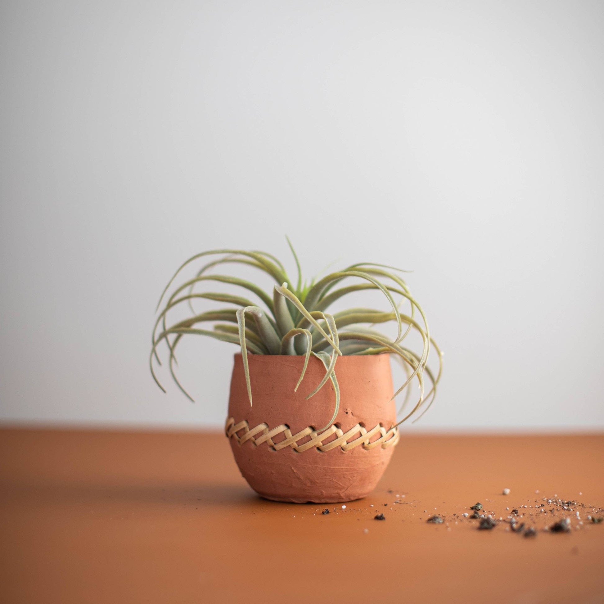 Mesa Terracotta Weave Planter