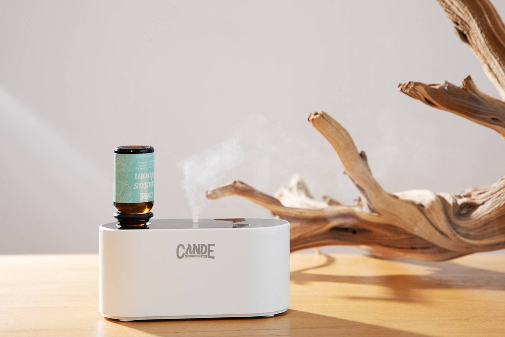 Waterless Fragrance Oil Diffuser